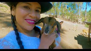 Mix Toriles AMELIA SARMIENTO VIDEO 2022 [upl. by Stefania]