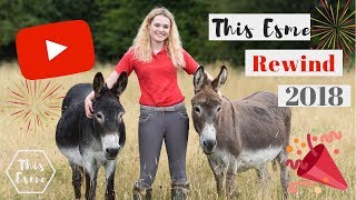 This Esme Rewind 2018  My Equestrian Year in review  This Esme [upl. by Priscilla]