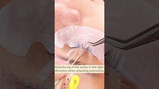 How to learn eyelash extensions fast for lash beginners💡 tutorial [upl. by Michaeu49]