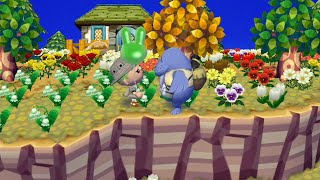 Wii Animal Crossing City Folk Day 249 quotWaste of a Free Mushroomquot [upl. by Sapowith674]