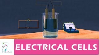 ELECTRICAL CELLS PART 01 [upl. by Nodle]