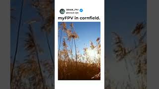 myFPV in cornfield [upl. by Hrutkay]