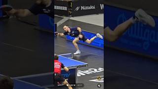 Simon Gauzy France and Andreas Levenko Austria Table Tennis at its best [upl. by Anglim]