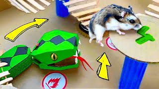 🐹🐍Snake Hamster Maze with Traps  DIY Hamster Maze [upl. by Berk]