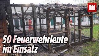 Vom Aussterben bedrohte Tiere verbrennen bei Feuer in Hühnerstall  Domäne Dahlem [upl. by Attah]