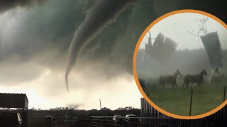 Horses Hit by Tornado amp Escape Unharmed [upl. by Bridgid]