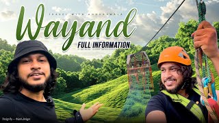 Best Places To Visit In Wayanad Wayanad Kerala Tourist Places 🌲❤️ [upl. by Nillok722]