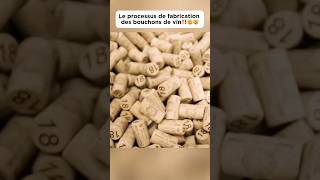 Le processus de fabrication des bouchons de vin‼️🤯🤯 bouchon wine plug découverte pourtoi fyp [upl. by Akeret430]