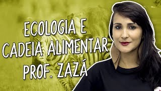 Ecologia e cadeia alimentar  Biologia  Prof Zazá [upl. by Hanyaz]