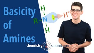 Amines  Basicity Alevel Chemistry [upl. by Mathur]