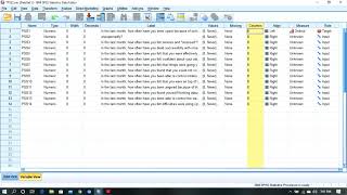 Perceived Stress ScaleHow to enter Perceived Stress Scale in Variable View In SPSS [upl. by Wampler]