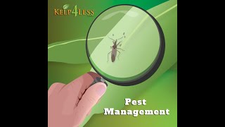 Kelp4less Podcast  Ep 43  Integrated Pest Management [upl. by Alurd759]