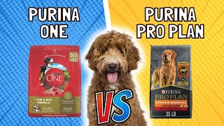 Purina ONE vs Purina Pro Plan Whats the Difference  Expert Comparison [upl. by Fini]