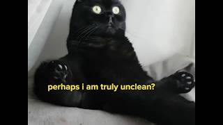 Existential Crisis Cat [upl. by Ardnoel]