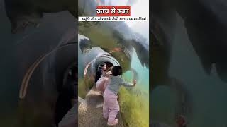 पानी के नीचे बनी वाटर स्लाइड   Dubai underwater water slide  dubai [upl. by Mill995]