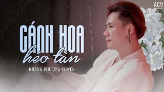 Cánh Hoa Héo Tàn  Khánh Phương Cover  Giống Như Một Vở Kịch Buồn Anh Diễn Trọn Cả Hai Vai [upl. by Divine795]