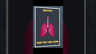 Name that lung sound medicaleducation respiratorymedicine lungsounds auscultation medical quiz [upl. by Tamarra]