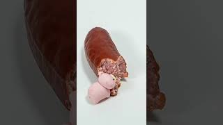 🐷Greedy Piggys Daily Menu shorts567stopmotion mukbang funny animation piggyeat【Hungry Piggy [upl. by Jolene211]