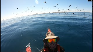 Sea kayaking the Nuyts Archipelago  Part 2 [upl. by Asenej258]