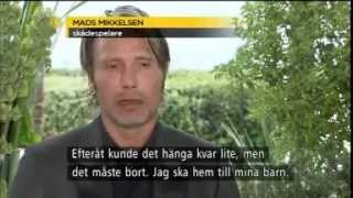 Mads Mikkelsen JagtenThe Hunt Swedish Reportage [upl. by Mihe]