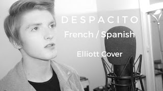 FrenchSpanish Version LUIS FONSI  Despacito ft Daddy Yankee  Elliott Cover [upl. by Trinette]