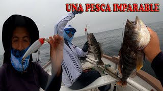 ESTA PESCA DE CABRILLA FUE IMPARABLE  Tablita Fishing [upl. by Ahsimik]