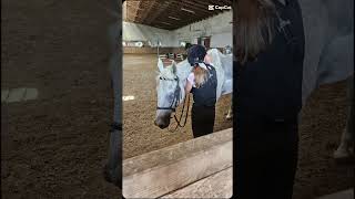 w czwartek trening skokowy🤞💞 chcecie vloga🤭wybijsie horse konie equestrian [upl. by Lorilyn]