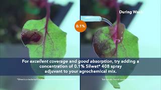 Tailor Agrochemical Coverage and Absorption with Silwet Adjuvants [upl. by Gierc830]