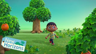 i reset my island again  Animal Crossing New Horizons [upl. by Orme]