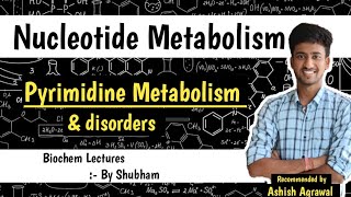 Pyrimidine Metabolism amp Disorder  Nucleotide Metabolism  Biochemistry Lectures [upl. by Adias]