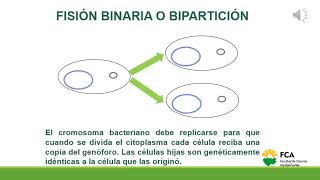 Recombinación en Bacterias Introducción [upl. by Sethrida834]