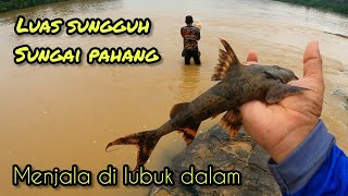 Menjala Di Sungai Pahang gengdunia fishing menjala funny [upl. by Delanie93]