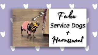 SERVICE DOG HARASSMENT COMPILATION [upl. by Elauqsap]