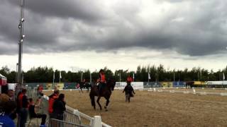 Dutch team training at the 2013 European Dressage Championships [upl. by Sherard]