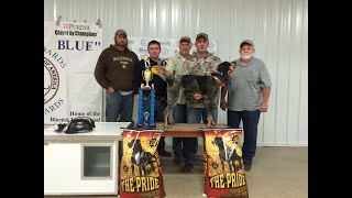 Competition Coonhunting is it hurting Hunting and Hound Breeds [upl. by Rehteh]