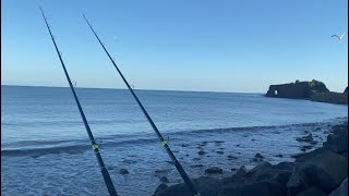 Dawlish warren fishing have the fish turned up yet 🤔 [upl. by Pacien]