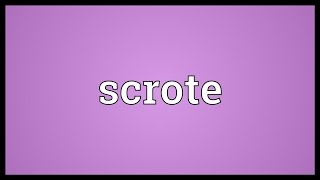 Scrote Meaning [upl. by Efal]