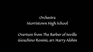 Overture from The Barber of Seville [upl. by Minnnie211]