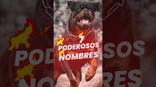 ✅ Nombres para perros rottweiler MACHO💪 [upl. by Felicity]