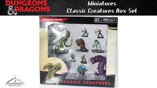 Dungeons amp Dragons Classic Creatures Box Set Unboxing and Review [upl. by Khano332]