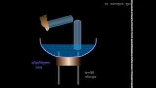 Electrolysis of Aq Acid  Animated Expt amp Explanation in BENGALI [upl. by Ahsiekar]