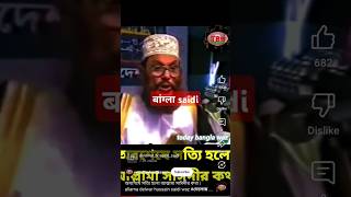 Dilawar हुसैन saidi bangla sort [upl. by Cioban]