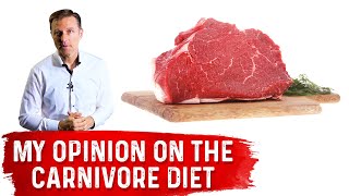 Carnivore Diet Why You Maybe Shouldnt Do It [upl. by Nylzaj195]