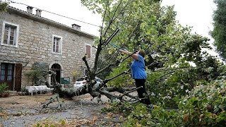 Corsica storms Five killed several injured as hurricaneforce winds hit French island [upl. by Gavrilla]