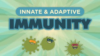 Innate amp Adaptive Immunity [upl. by Clinton]