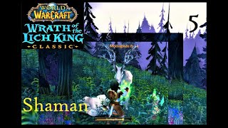 WoW Classic WotLK Shaman 5  The Great Moongraze Hunt and More [upl. by Irollam40]