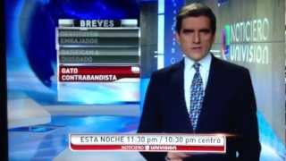 Noticiero Univision Breve Informativo 152013 [upl. by Mathews]