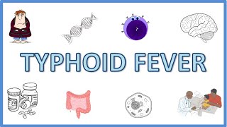 Typhoid Fever  Causes Pathogenesis Signs and Symptoms Diagnosis Treatment and Prevention [upl. by Eiramanel]