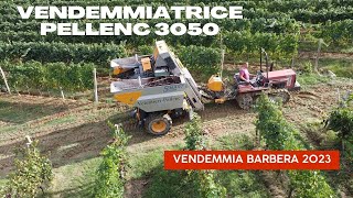 🍇 VENDEMMIA BARBERA 2023  Volentieripellenc 3050  Fiatagri 7075 [upl. by Fisken367]