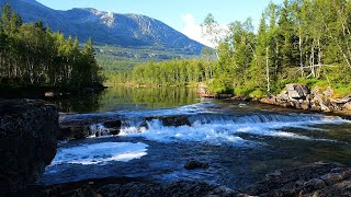 Amazing Natural Ecosystem Mountains Flowing River Birdsong Eliminate all Stress Anxiety Sadness [upl. by Milah806]